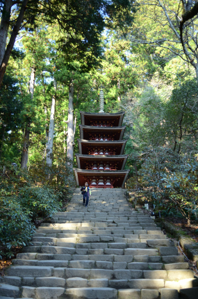 室生寺の五重塔